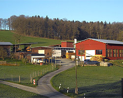 Holzkonstruktion